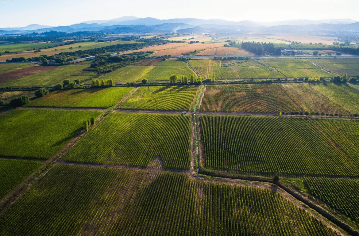 Chile wine guide, South America wine guide, Cremaschi Furtlotti winery in Maule