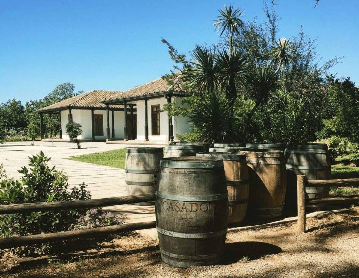 Guide to South American wine, Chilean wine guide, Casa Donoso