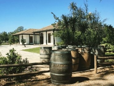 Guide to South American wine, Chilean wine guide, Casa Donoso
