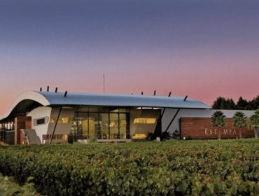 Read about Estampa winery in Colchagua in South America Wine Guide
