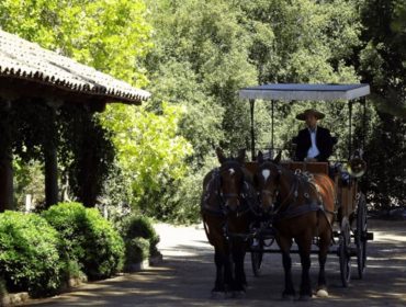 Winery guide Chile: Laura Hartwig winery and vineyards
