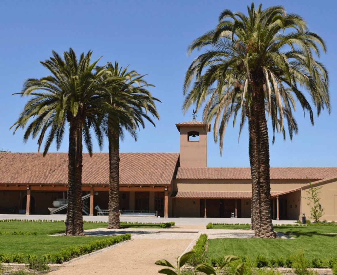 Viña Los Boldos in Cachapoal. Guide to Chilean wineries