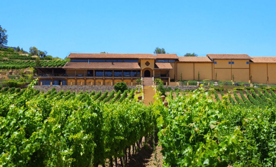 Winery guide Chile, Viña Santa Cruz winery in Lolol, Colchagua