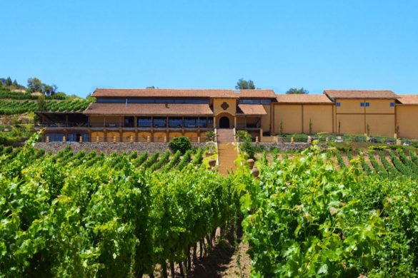 almaviva winery visit