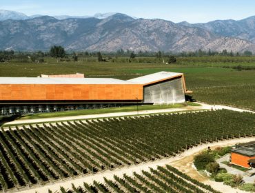 Wineries in Chile, South America Wine Guide. Viña Santa Ema winery guide