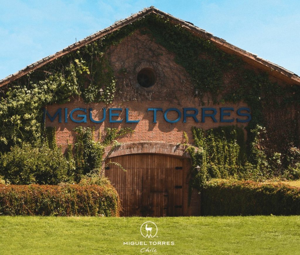 Torres winery in Chile, in Curico