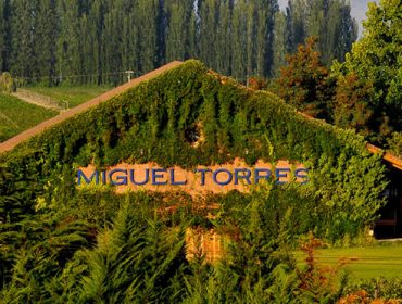 Miguel Torres winery in Curicó Chile, South America Wine Guide