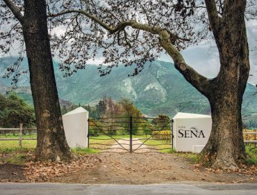 sena winery and vineyard in Aconcagua Chile, guide to the wineries of Chile
