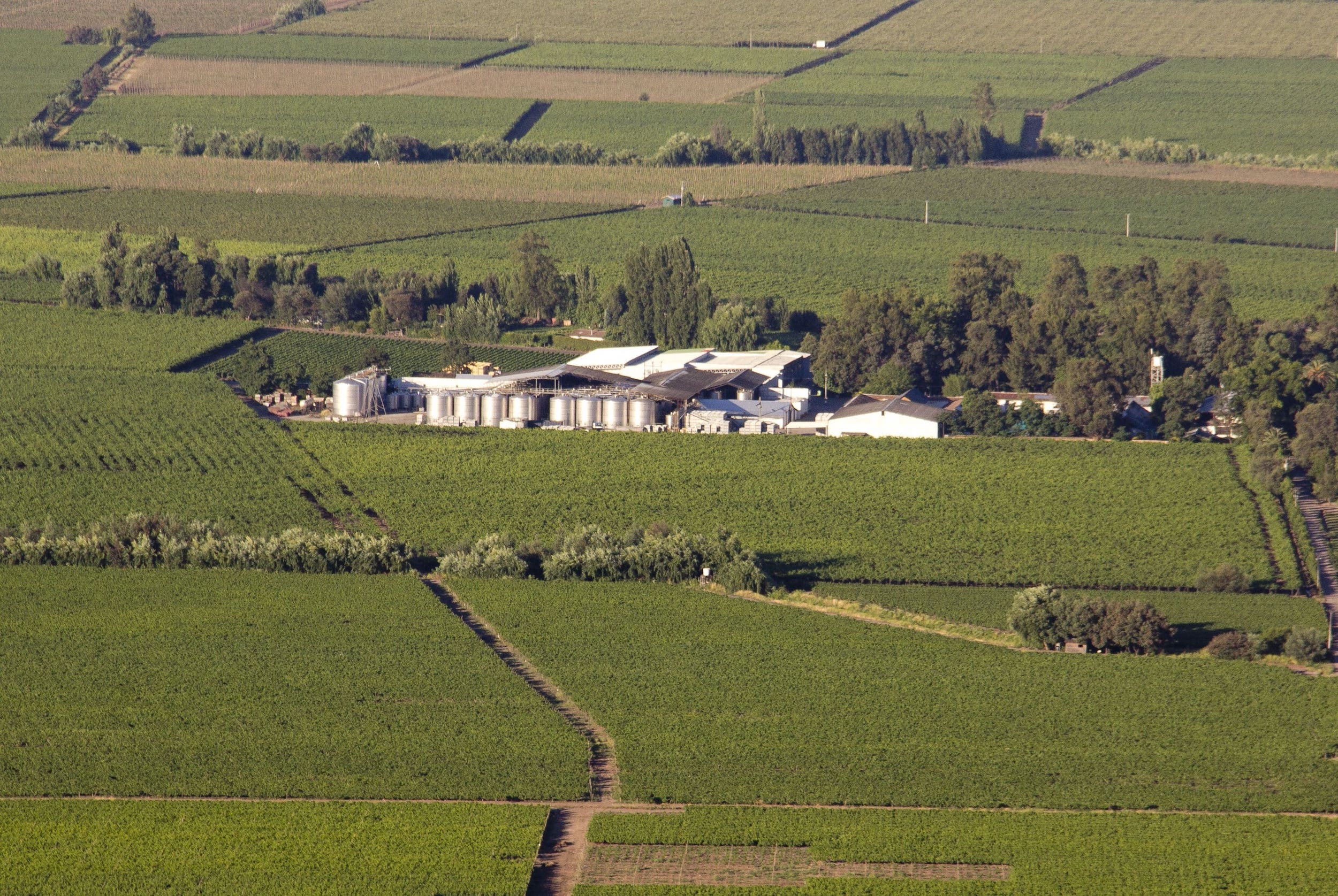 Viña Requingua winery in Curico Chile. Guide to wineries in Chile, South America Wine Guide.