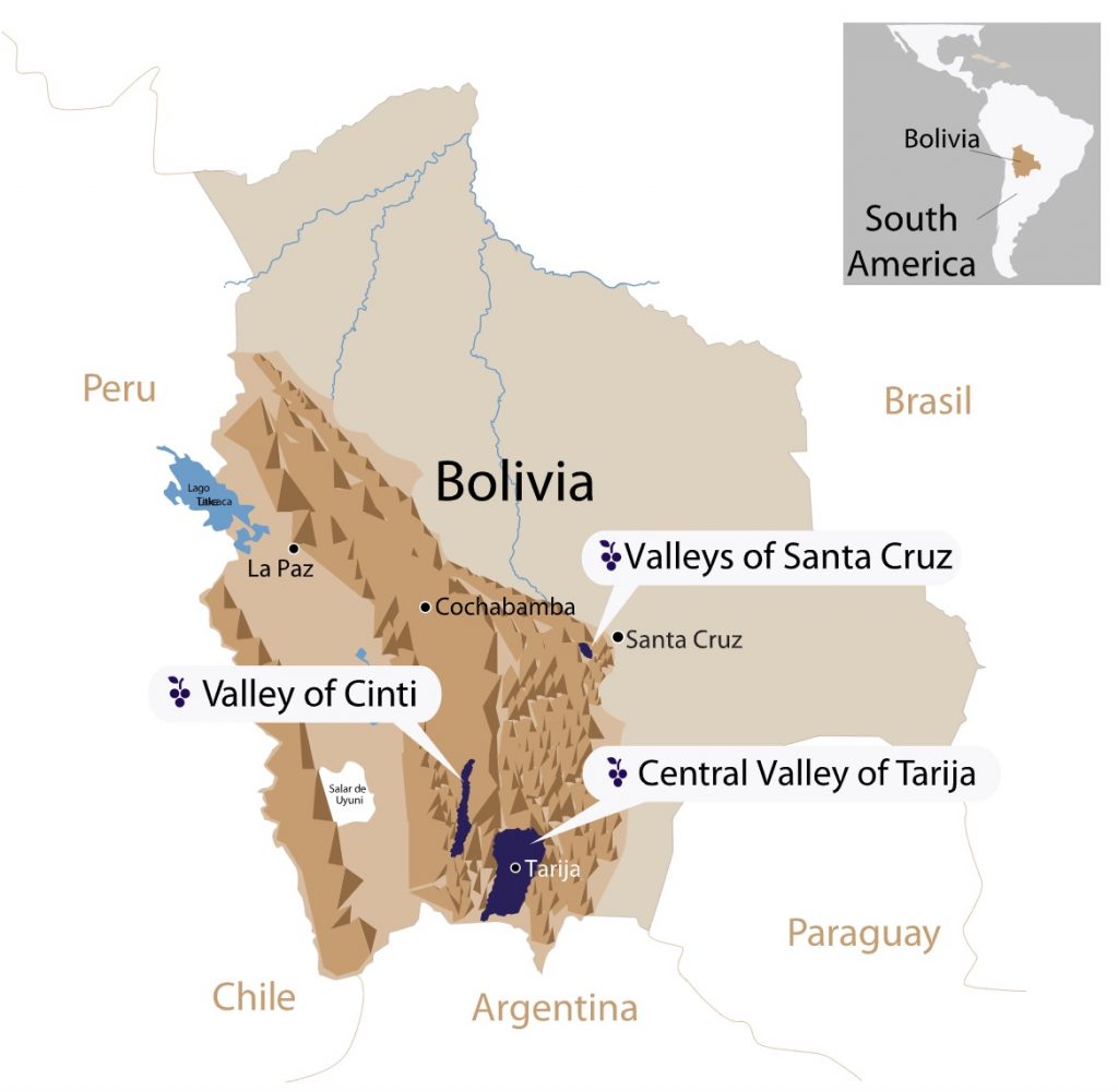 Bolivian wine regions 