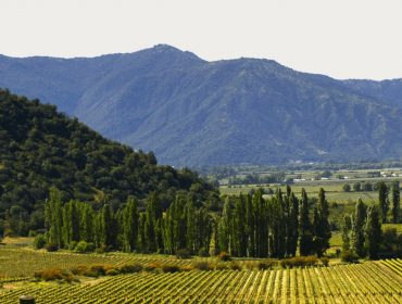 Chile wine guide, South America Wine Guide, Valdivieso winery in Maipo