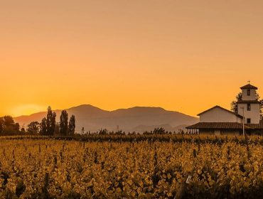 Chilean wine guide - Valle Secreto winery
