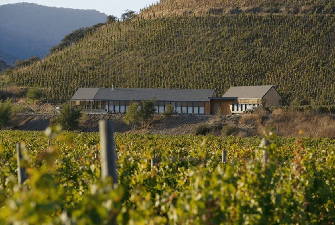 Chile wine guide, Viña Maipo winery in chile