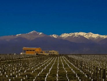 Argentina Wine Guide, Zorzal winery in Uco Valley. South America Wine Guide