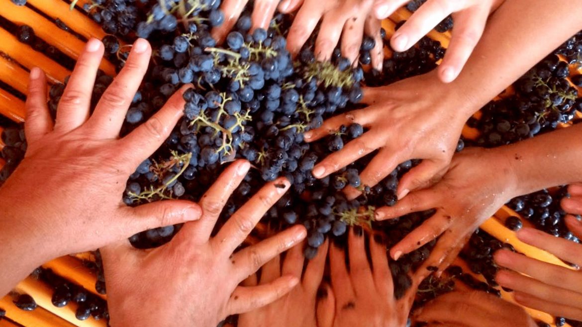 Colchagua wineries to visit, Lugarejo winery