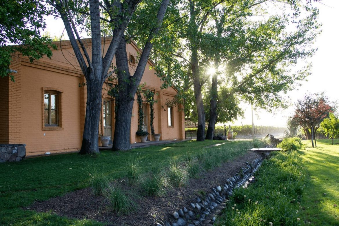 wineries in Mendoza. Finca La Anita