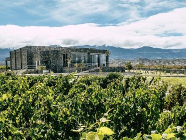 Wineries in Argentina. South America Wine Guide