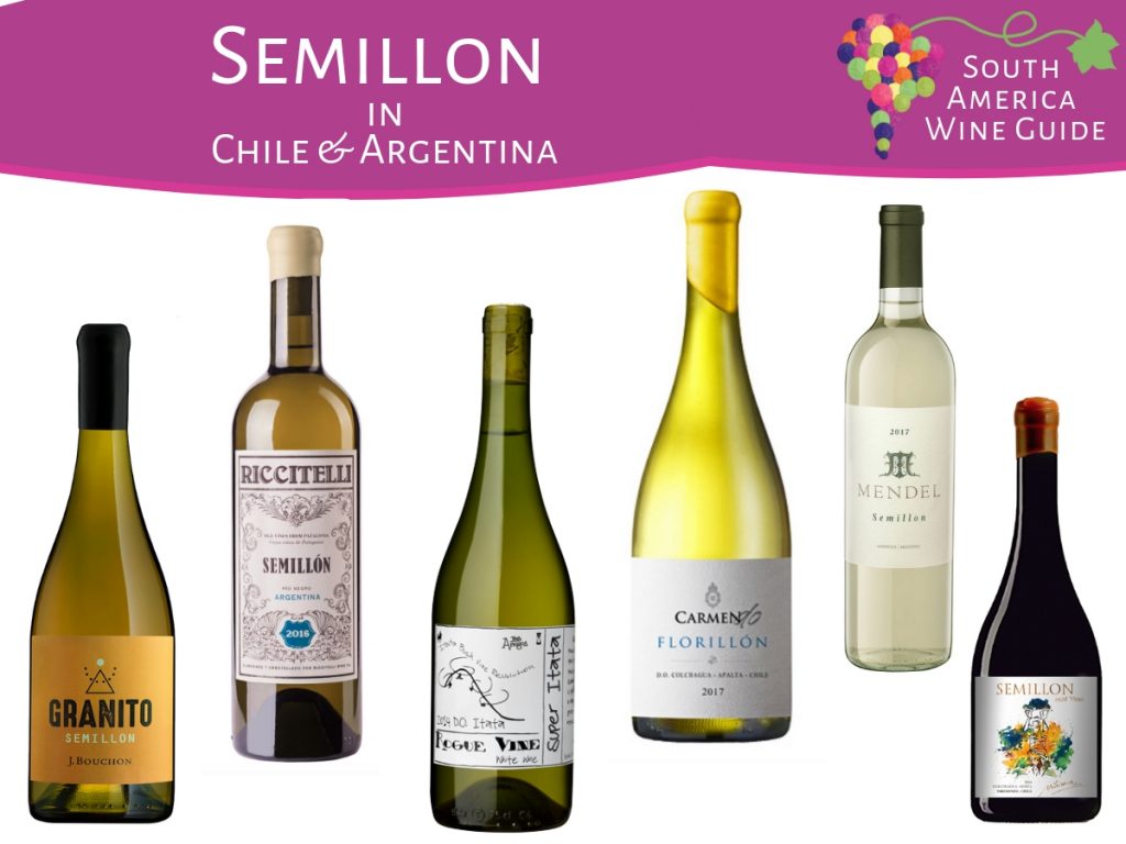 Semillon wine recommendations from Chile and Argentina. South America Wine Guide