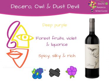 Argentina wine guide, wine tasting notes Decero Owl Dust Devil