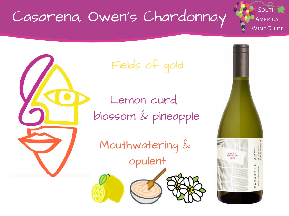 Argentina wine guide: Casarena Owen's Vineyard Chardonnay from Agrelo, Lujan de Cuyo. Wine tasting note