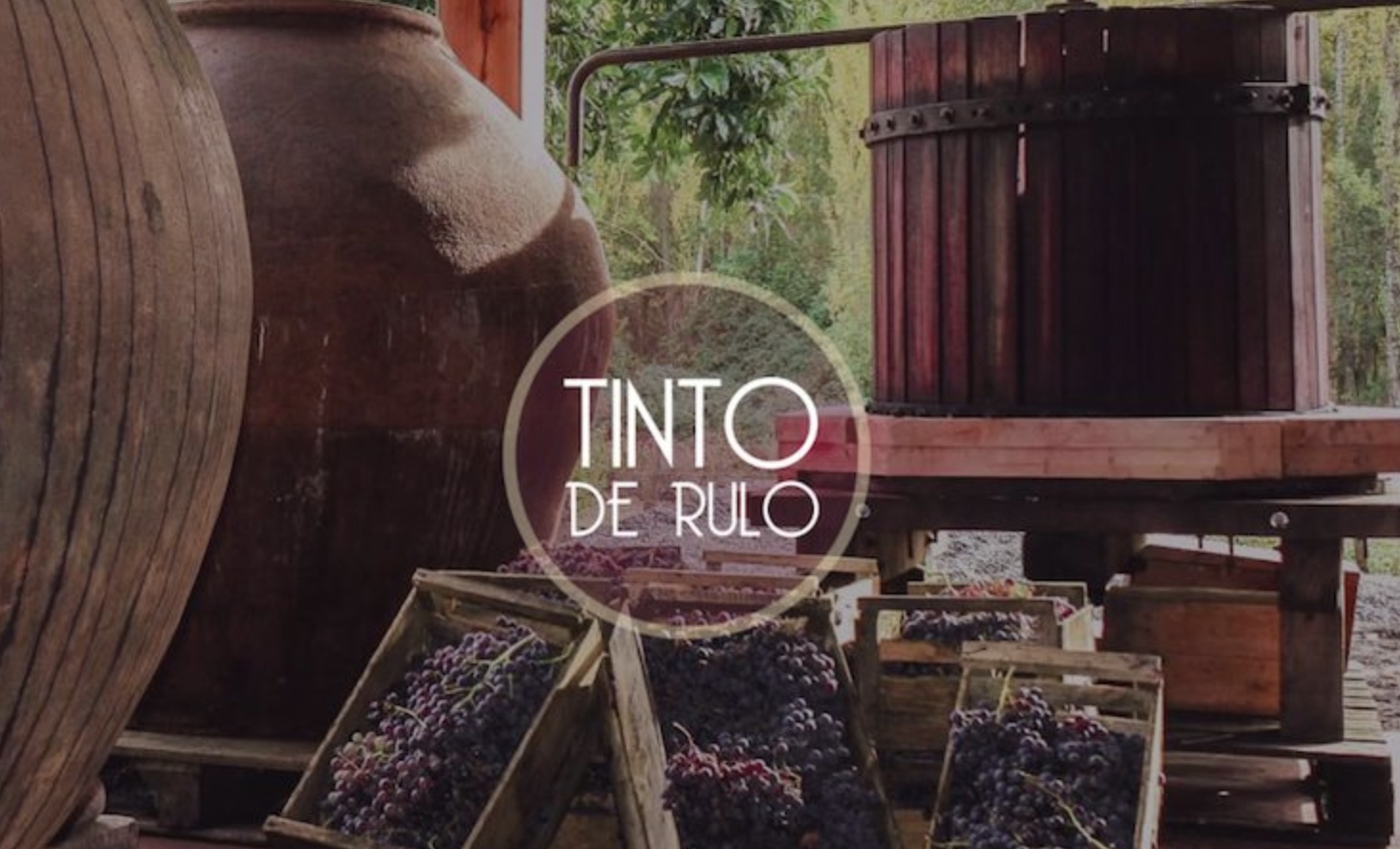 Tinto de Rulo winery in Itata, guide to Chilean wines and wineries