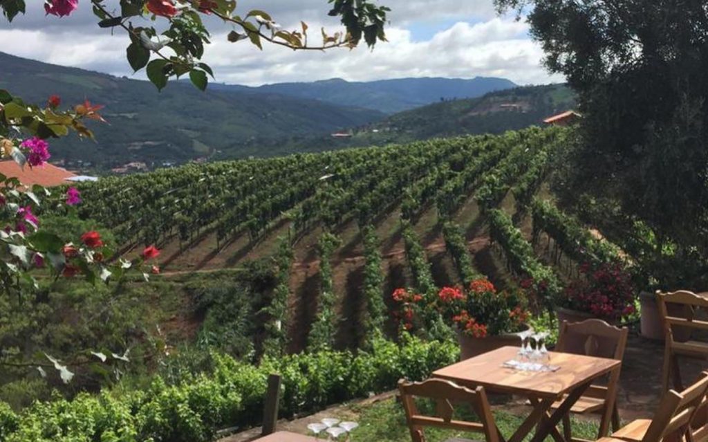 View over the vineyards of Samaipata in the Santa Cruz valleys of Bolivia