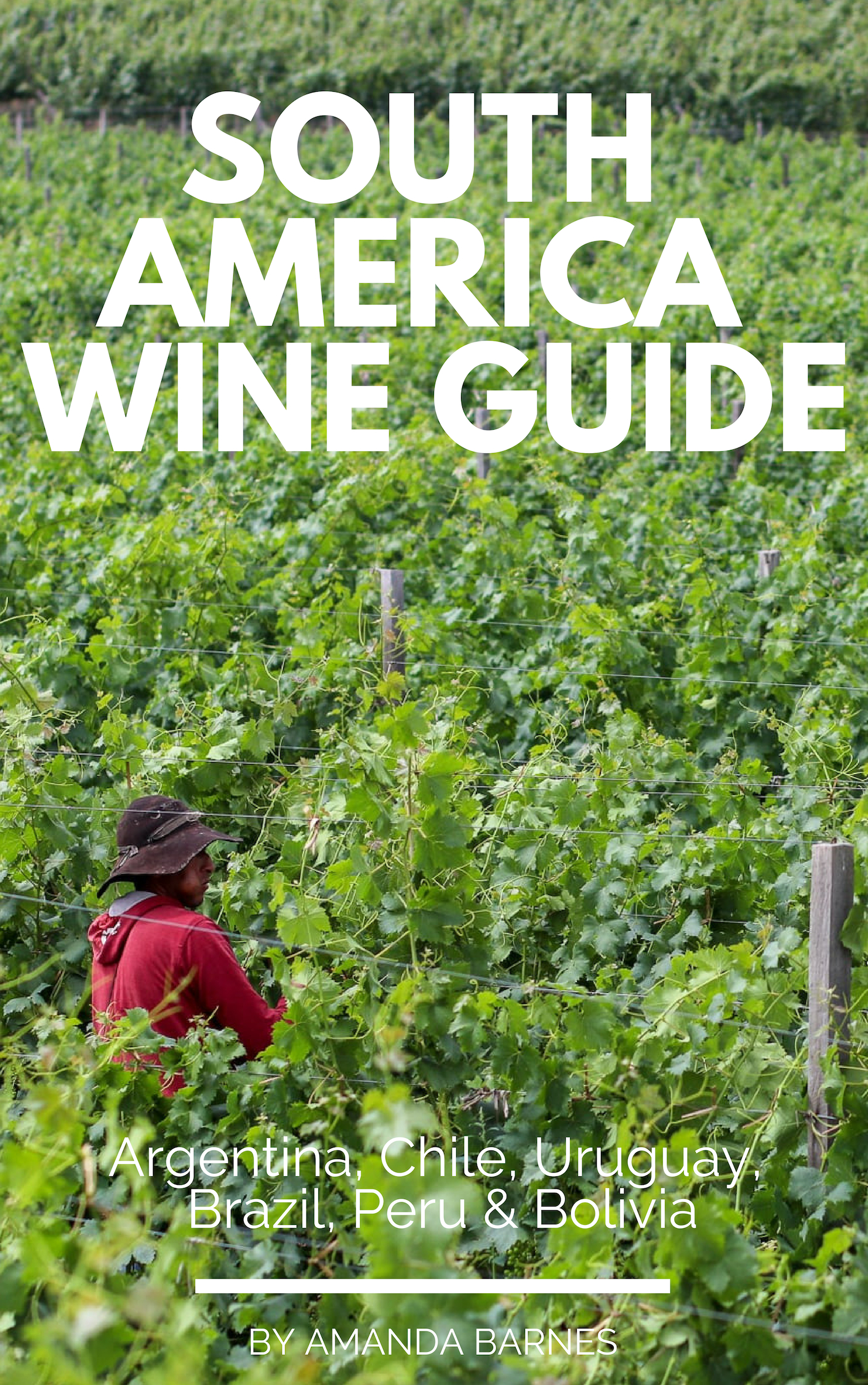 Buy your copy of the South America Wine Guide