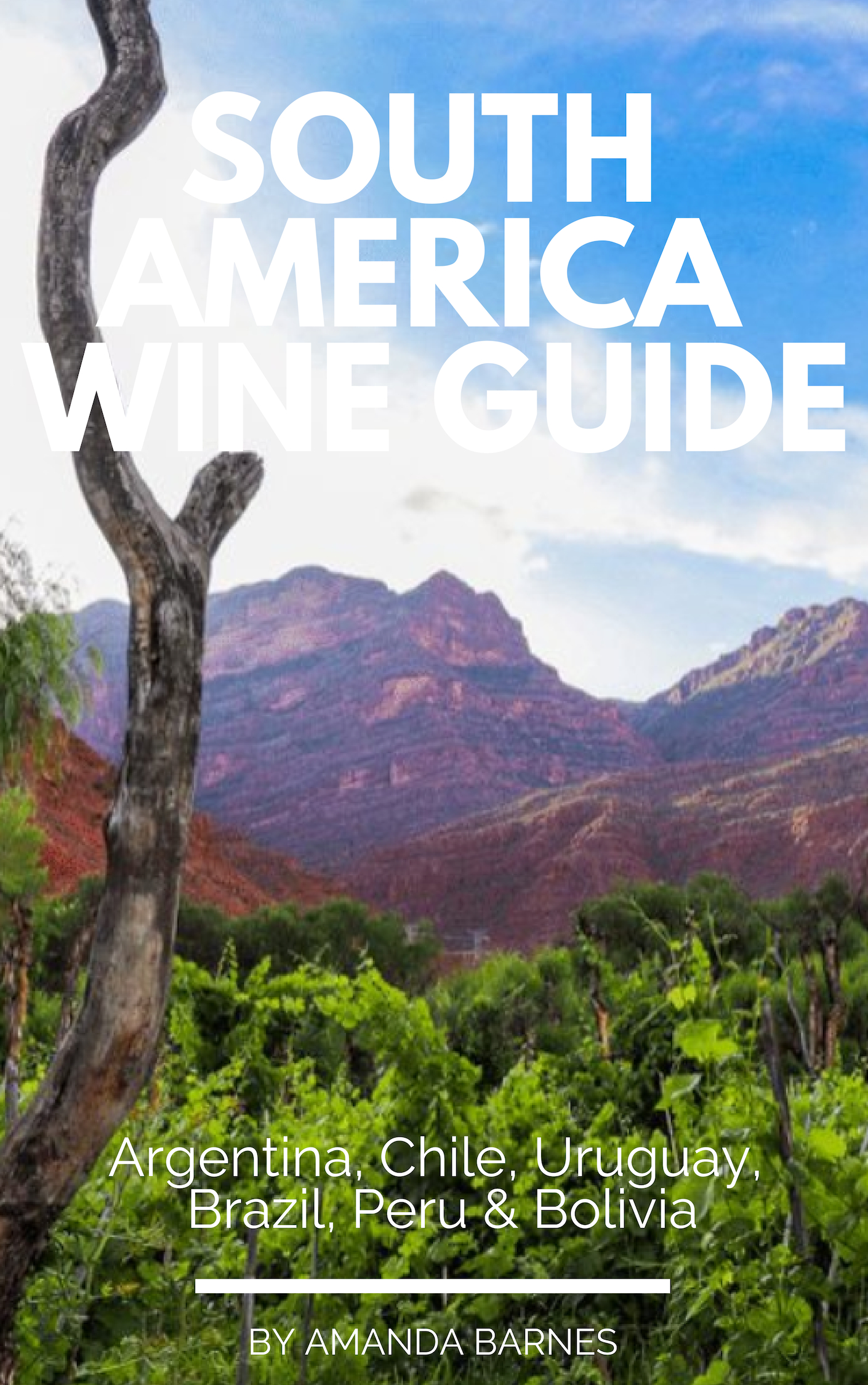 Buy your copy of the South America Wine Guide
