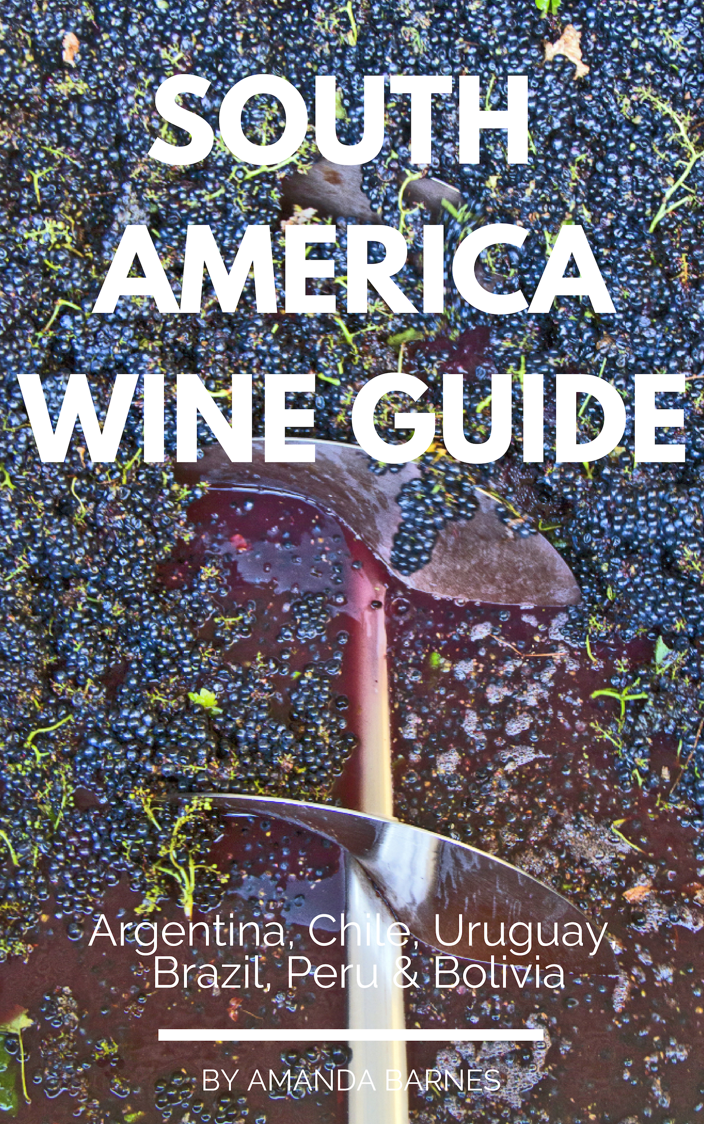 Buy your copy of the South America Wine Guide