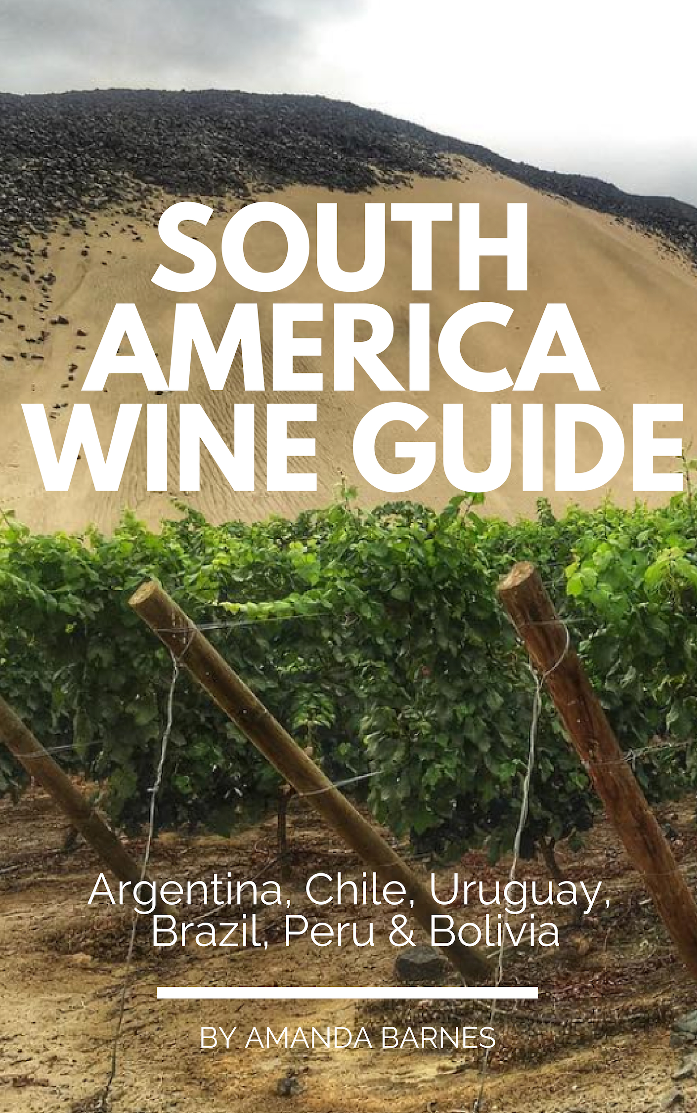 south america wine tours