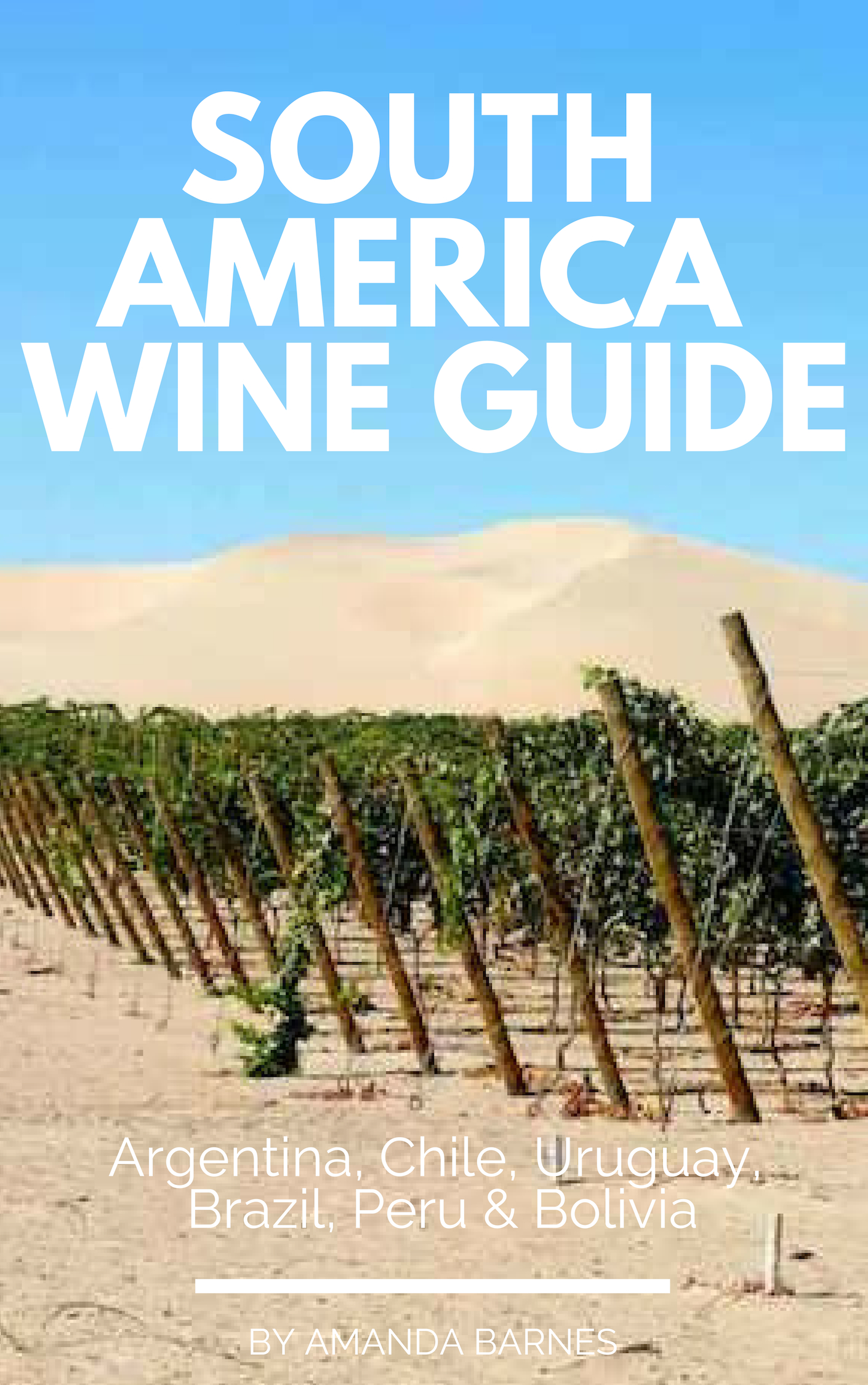 Buy your copy of the South America Wine Guide