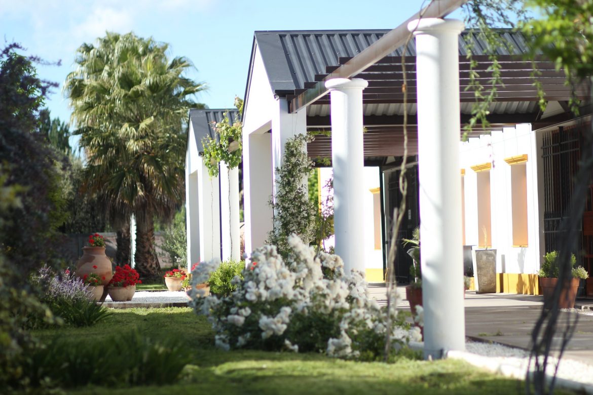 Wineries in San Rafael, Guide to Mendoza wineries