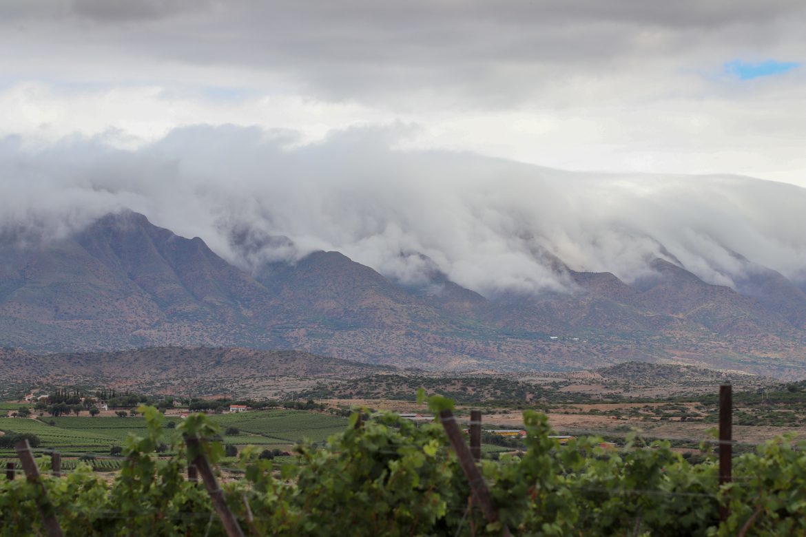 Wineries in Bolivia