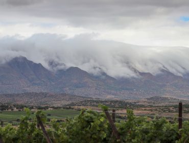 Wineries in Bolivia