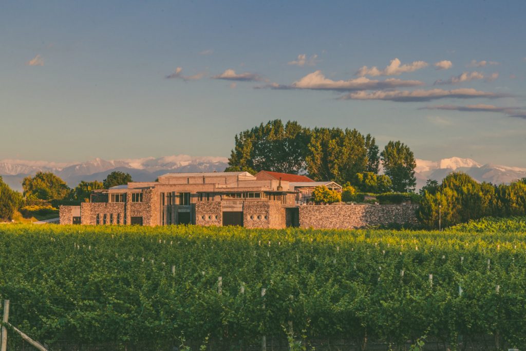 Visiting Bianchi winery in Mendoza