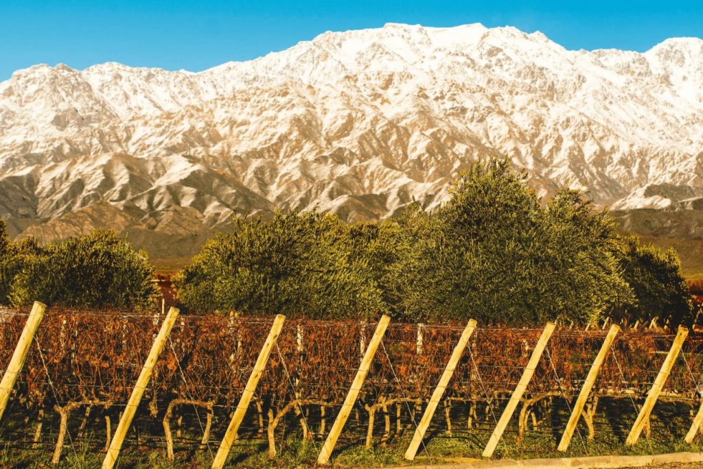 South America Wine Guide, Mendoza wineries