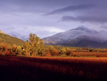 Chilean winery guide. Vina Santa Alicia in Maipo