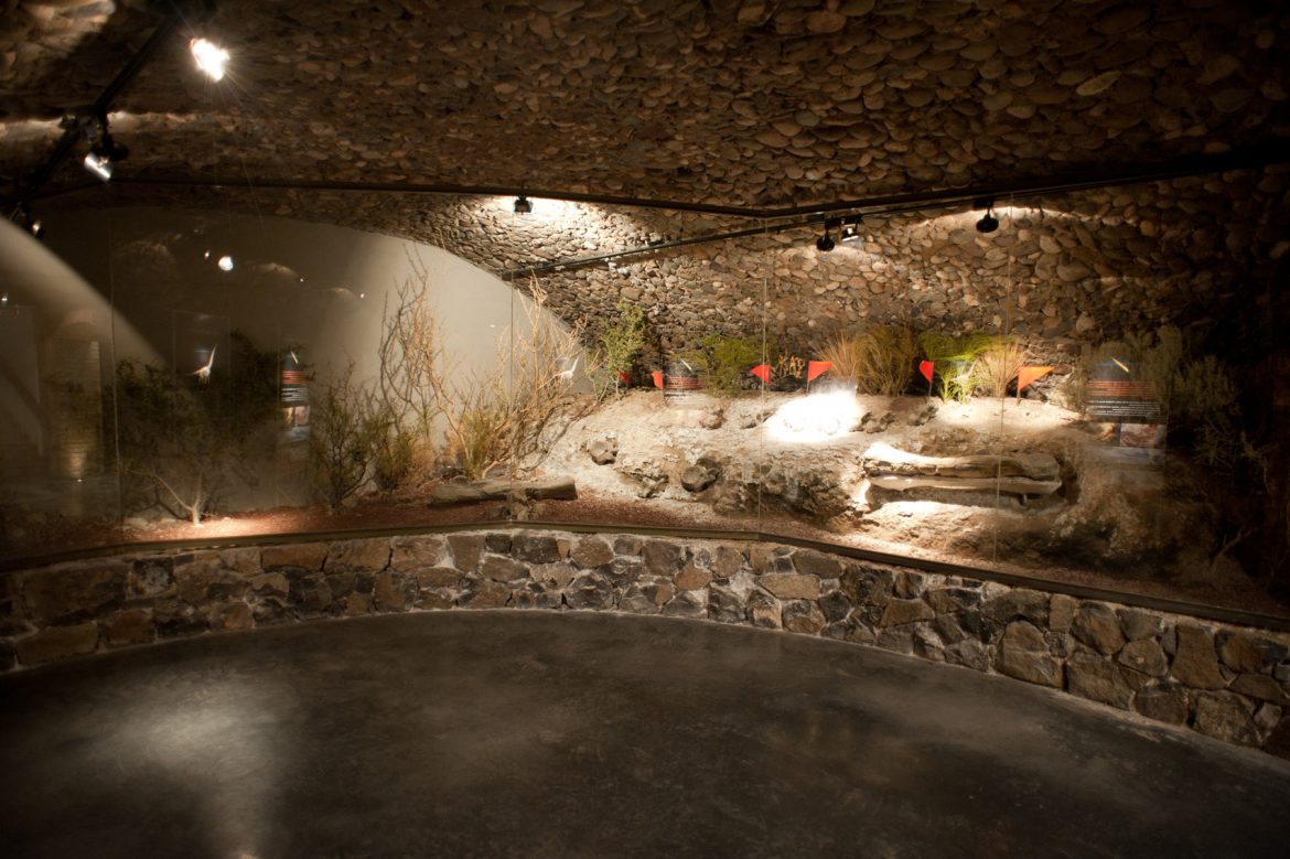 Wineries in Patagonia to visit, Bodega Familia Schroeder winery