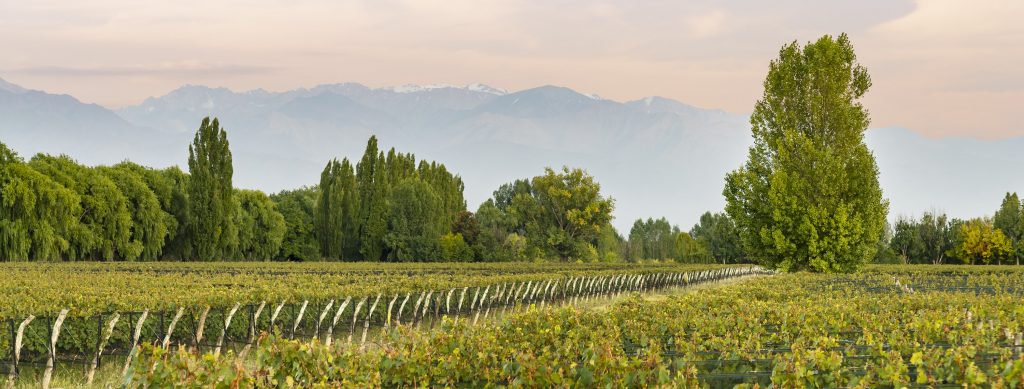 Paul Hobbs winery in Mendoza