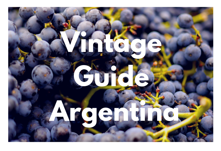 Guide to wine vintages in Argentina