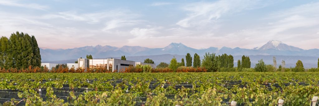 Viña Cobos Paul Hobbs winery and vineyards in Mendoza