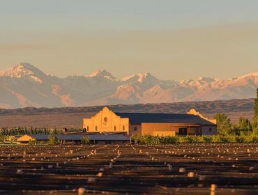 South America Wine Guide, wineries in Mendoza. Las Perdices winery