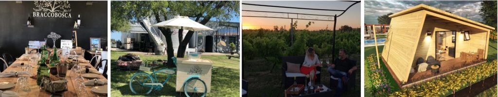 Bracco Bosca winery and vineyard cabins for wine tasting in Canelones, Uruguay