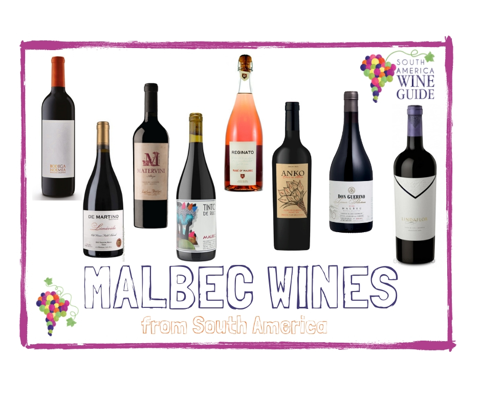 Best Malbec wines from Argentina Chile Peru Bolivia Brazil Uruguay Latin America