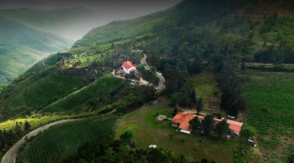 Bodegas Landsua winery in Samaipata in the Cruceños Valleys is committed to making wines which express the terroir.