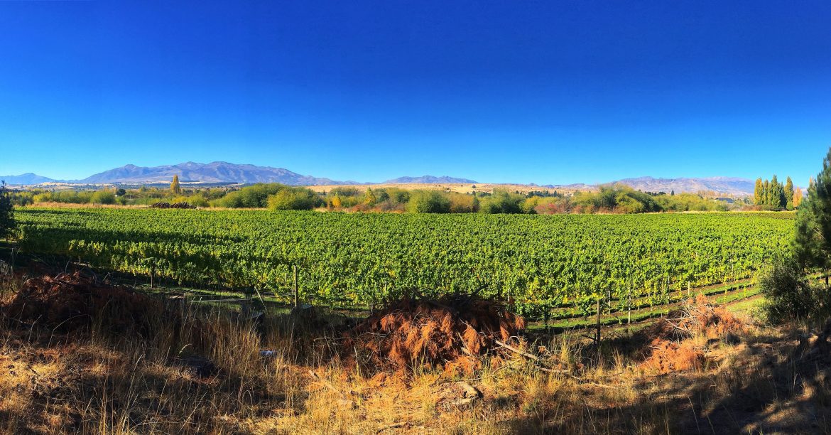 Bodega Contra Corriente winery in Trevelin Valley in Chubut, Patagonia, Argentina.