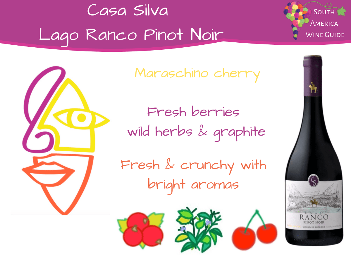 Casa Silva Lago Ranco Pinot Noir wine tasting notes by Amanda Barnes.