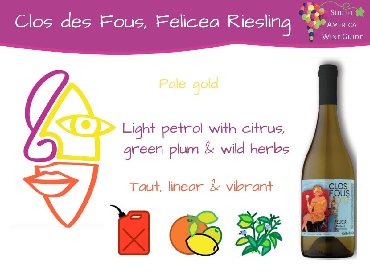 Clos des Fous, Felicea Riesling from Malleco, Chile. Wine tasting note