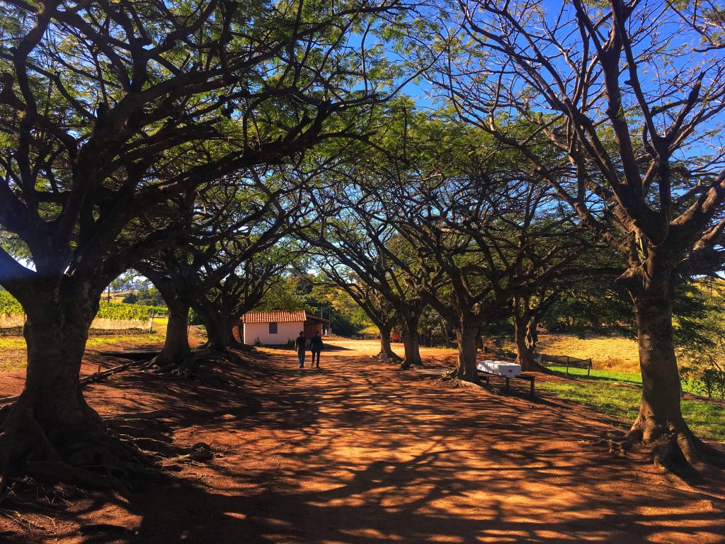 guia para vinho brasileiro, Casa Verrone, Serra da Mantiqueira