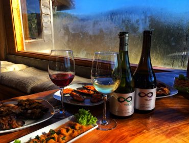 Trapi del Bueno winery and wines in Osorno Chile, Guide to Chilean wineries and Chilean wine